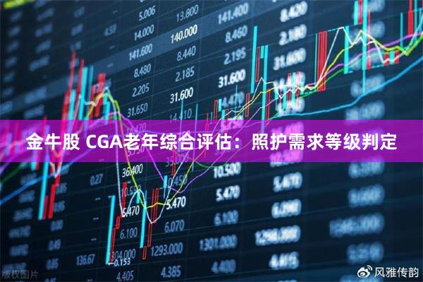 金牛股 CGA老年综合评估：照护需求等级判定
