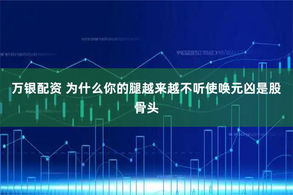 万银配资 为什么你的腿越来越不听使唤元凶是股骨头