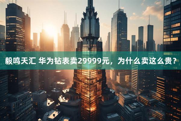 毅鸣天汇 华为钻表卖29999元，为什么卖这么贵？
