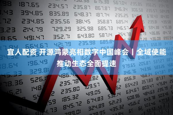 宜人配资 开源鸿蒙亮相数字中国峰会丨全域使能推动生态全面提速