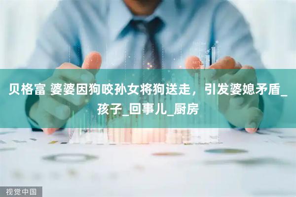 贝格富 婆婆因狗咬孙女将狗送走，引发婆媳矛盾_孩子_回事儿_厨房